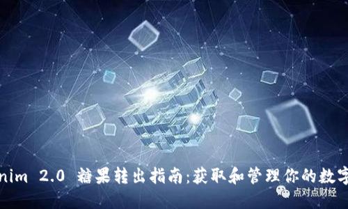 Tokenim 2.0 糖果转出指南：获取和管理你的数字资产