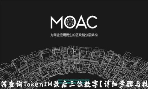 
如何查询TokenIM最后三位数字？详细步骤与技巧