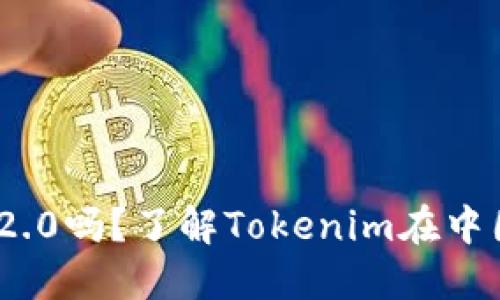国内能用Tokenim 2.0吗？了解Tokenim在中国的应用与政策限制