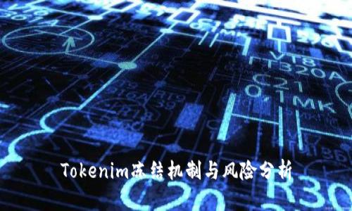 Tokenim冻结机制与风险分析