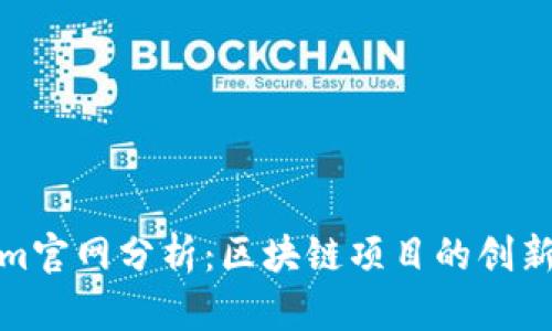 Tokenim官网分析：区块链项目的创新与挑战