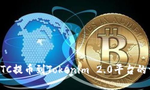 如何将OTC提币到Tokenim 2.0平台的详细指南