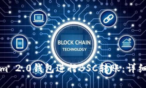 如何使用Tokenim 2.0钱包进行BSC转账：详细指南与最佳实践
