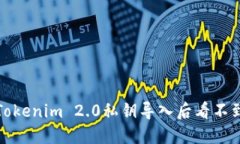 如何解决Tokenim 2.0私钥导入后看不到币的问题