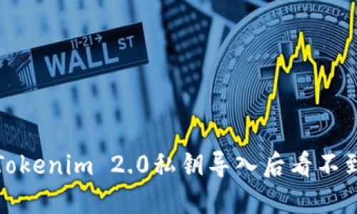 如何解决Tokenim 2.0私钥导入后看不到币的问题