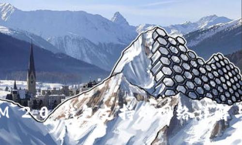 : TokenIM 2.0 钱包支持的网络详解与使用指南