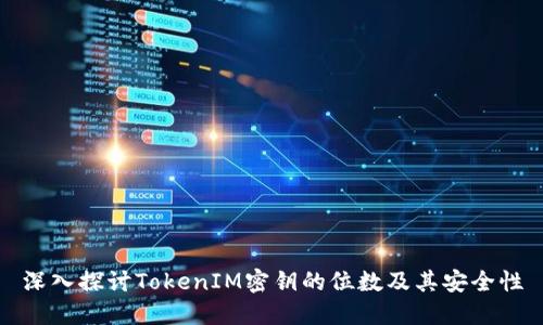 深入探讨TokenIM密钥的位数及其安全性