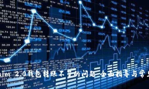 解决Tokenim 2.0钱包转账不了的问题：全面指导与常见故障排除