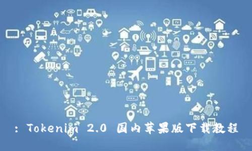 : Tokenim 2.0 国内苹果版下载教程