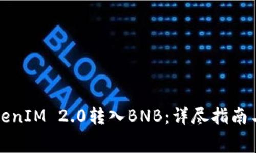 如何将TokenIM 2.0转入BNB：详尽指南与注意事项