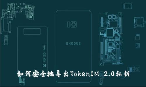 如何安全地导出TokenIM 2.0私钥
