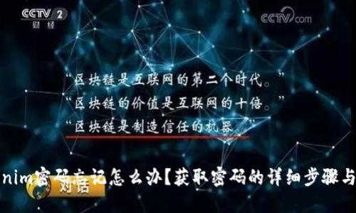 Tokenim密码忘记怎么办？获取密码的详细步骤与技巧