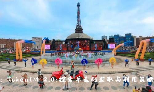 : TokenIM 2.0：探索羊毛的获取与利用策略