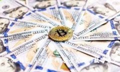 Tokenim 2.0 钱包 App 官网：安全灵活的数字资产管理