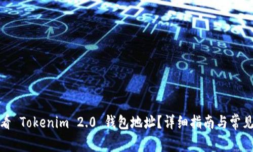 在哪里查看 Tokenim 2.0 钱包地址？详细指南与常见问题解答