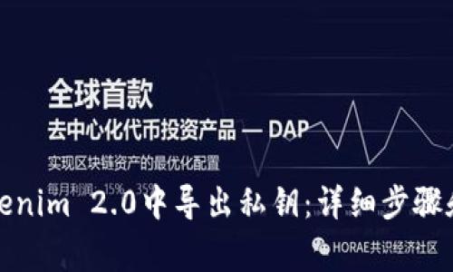 如何在Tokenim 2.0中导出私钥：详细步骤和注意事项