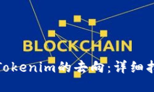 如何查找被盗Tokenim的去向：详细指南与应对策略