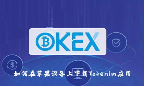 如何在苹果设备上下载Tokenim应用