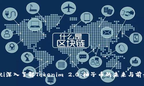 biatoti深入了解Tokenim 2.0：柚子币的未来与前景分析