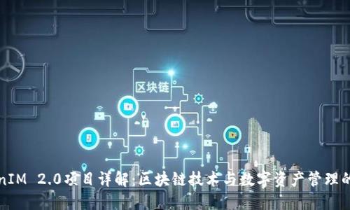 TokenIM 2.0项目详解：区块链技术与数字资产管理的未来