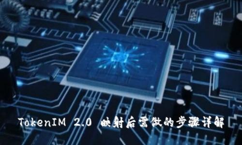 TokenIM 2.0 映射后需做的步骤详解