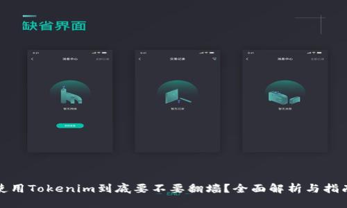 使用Tokenim到底要不要翻墙？全面解析与指南
