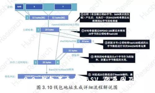 Tokenim 2.0 钱包不支持 BSV 的原因及解决方案