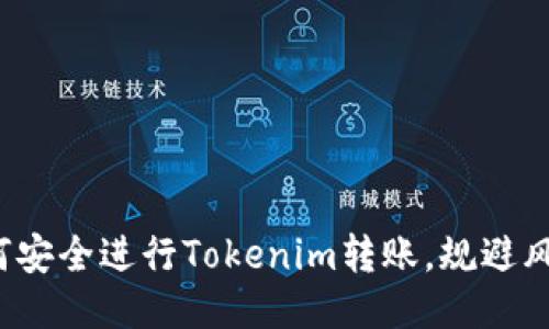 如何安全进行Tokenim转账，规避风险？