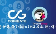 如何安全备份TokenIM2.0文件：详细指南
