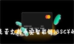 TokenIM是否支持币安智能链（BSC）的详细解析