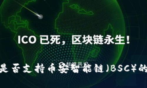 TokenIM是否支持币安智能链（BSC）的详细解析