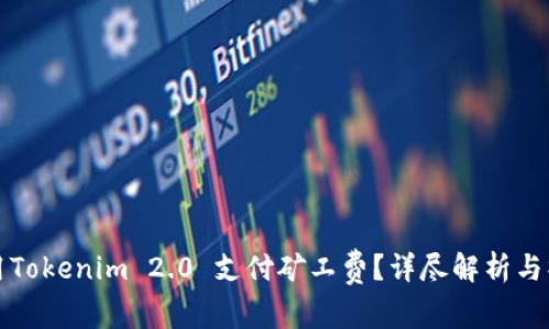 如何使用Tokenim 2.0 支付矿工费？详尽解析与操作指南