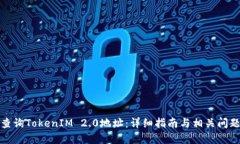 如何查询TokenIM 2.0地址：详细指南与相关问题解答