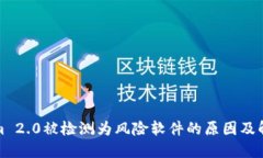 Tokenim 2.0被检测为风险软件的原因及解决方案