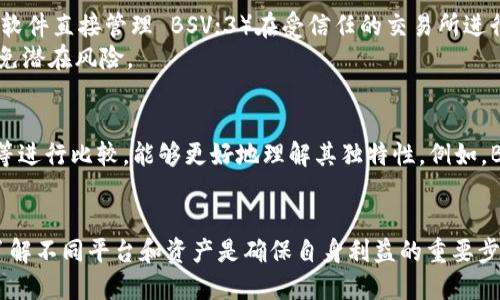 在讨论是否可以将 Bitcoin SV (BSV) 放置于 Tokenim 上之前，我们需要先了解 Tokenim 平台及其功能，以及 Bitcoin SV 的特性和它在加密货币市场的角色。

Tokenim 介绍
Tokenim 是一个数字资产管理平台，旨在为用户提供简便的工具，以便存储、交易和管理各种加密货币与数字资产。Tokenim 提供了多种功能，包括钱包服务、资产交换、投资组合管理及资产追踪。用户可以通过这个平台进行多种类型的加密交易，使用不同的链上的代币和资产。

Bitcoin SV (BSV) 简介
Bitcoin SV (BSV) 是比特币的一种分叉，旨在保持原始比特币的愿景并提高其可扩展性。BSV 提倡大区块以实现高速处理交易，同时致力于确保网络的稳定性和安全性。BSV 核心团队的目标是通过提高链上处理能力，支撑大规模的应用和服务。

Tokenim 是否支持 Bitcoin SV (BSV)?
由于 Tokenim 是一个灵活的平台，其支持的资产类型会随着市场需求和用户反馈而变化。因此，首先需要确认 Tokenim 是否在其支持的资产列表中包含 BSV。如果用户希望在 Tokenim 上管理 BSV，建议首先访问 Tokenim 的官方网站或官方公告，查看最新的支持资产列表。

如何在 Tokenim 中使用 Bitcoin SV?
如果确认 Tokenim 支持 BSV，用户可以按照以下步骤在 Tokenim 中使用 BSV：首先，注册一个 Tokenim 账户并完成身份验证。之后，用户可以将 BSV 从其它钱包或者交易所转入 Tokenim 的钱包中。如果在 Tokenim 平台上可见 BSV，那么用户可以进行交易、兑换或者管理其资产。
具体操作步骤包括：选择资产类别为 BSV，输入要转入的数量，确认转账。在此过程中的任何时候，确保遵循 Tokenim 的安全措施，以防止资产损失。

Tokenim 对于 BSV 交易的费用结构
在进行 BSV 的交易时，用户需了解 Tokenim 的费用结构。这些费用可能包括转账费用、交易手续费等。了解这些信息可以帮助用户更好地管理预算，降低不必要的成本。
费用的透明性是良好交易平台的标志，用户可以在 Tokenim 的平台上查看详尽的费用说明和计算方法。在进行大额交易时，用户特别需要计算交易费用，以确保其交易的优势。

如果 Tokenim 不支持 BSV，用户该如何处理?
如果 Tokenim 不支持 BSV，用户可以考虑以下几种替代方案：1）找到支持 BSV 的其他数字资产管理平台；2）使用钱包软件直接管理 BSV；3）在受信任的交易所进行 BSV 交易。
通过选择合适的平台，用户可以实现对 BSV 的全面管理。如果希望尝试其他平台，务必查看用户评价和平台安全性，以避免潜在风险。

BSV 与其他加密货币的比较
在加密货币市场中，BSV 的表现和功能与其他主流加密货币存在一定差异。用户将 BSV 与比特币（BTC）和以太坊（ETH）等进行比较，能够更好地理解其独特性。例如，BSV 强调可扩展性，而 BTC 更注重安全性。此外，ETH 则支持智能合约，具有其特有的生态系统。
在选择投资或使用某种加密货币时，用户应该考虑自己的需求，评估不同货币的利弊，以达到最佳的使用效果。

以上讨论涵盖了 Tokenim 与 BSV 的相关性，以及在使用过程中可能面临的问题和解决方案。对于投资者和用户来说，了解不同平台和资产是确保自身利益的重要步骤。