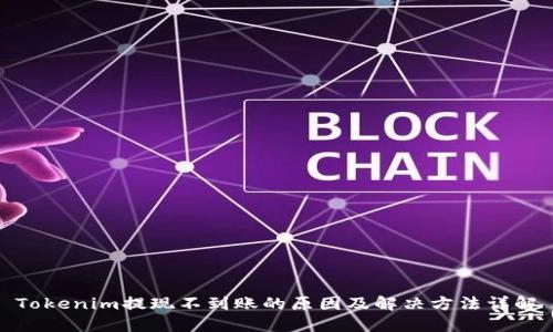 Tokenim提现不到账的原因及解决方法详解