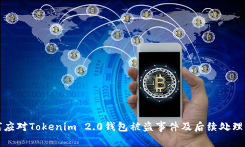 如何应对Tokenim 2.0钱包被盗事件及后续处理指南