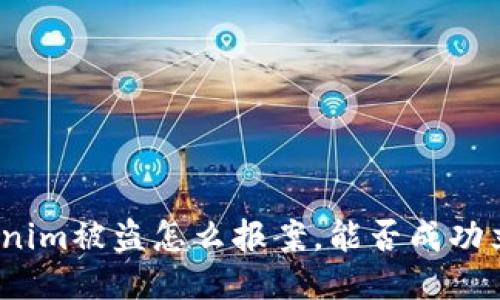 Tokenim被盗怎么报案，能否成功立案？