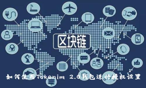 如何使用Tokenim 2.0钱包进行授权设置