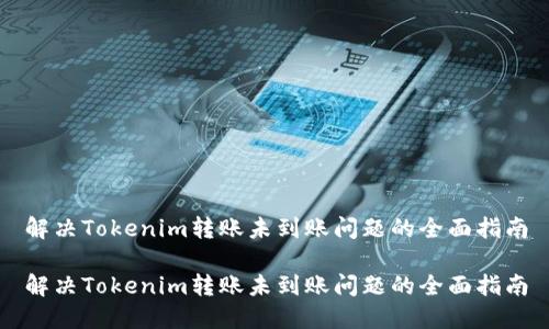 解决Tokenim转账未到账问题的全面指南

解决Tokenim转账未到账问题的全面指南