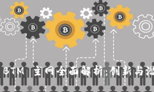 Tokenim 2.0 BTM 主网全面解析：创新与潜力的深度探讨