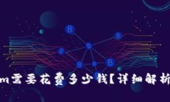 使用Tokenim需要花费多少钱？详细解析及常见问题