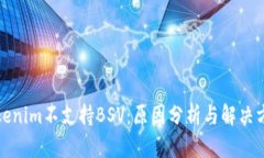 Tokenim不支持BSV：原因分析与解决方案