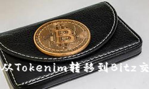 如何将数字资产从Tokenim转移到Bitz交易所的详细指南