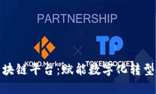 政务上的区块链平台：赋能数字化转型与透明治理