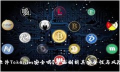 软件Tokenim安全吗？全面剖析其安全性与风险