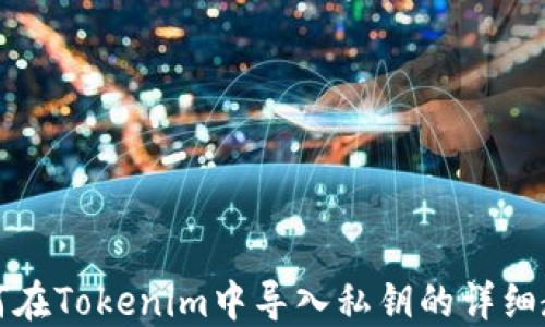 
如何在Tokenim中导入私钥的详细教程
