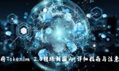 如何将Tokenim 2.0转账到国内：详细指南与注意事项