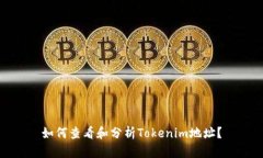 如何查看和分析Tokenim地址？