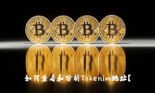 如何查看和分析Tokenim地址？